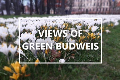 Green Dresden and view